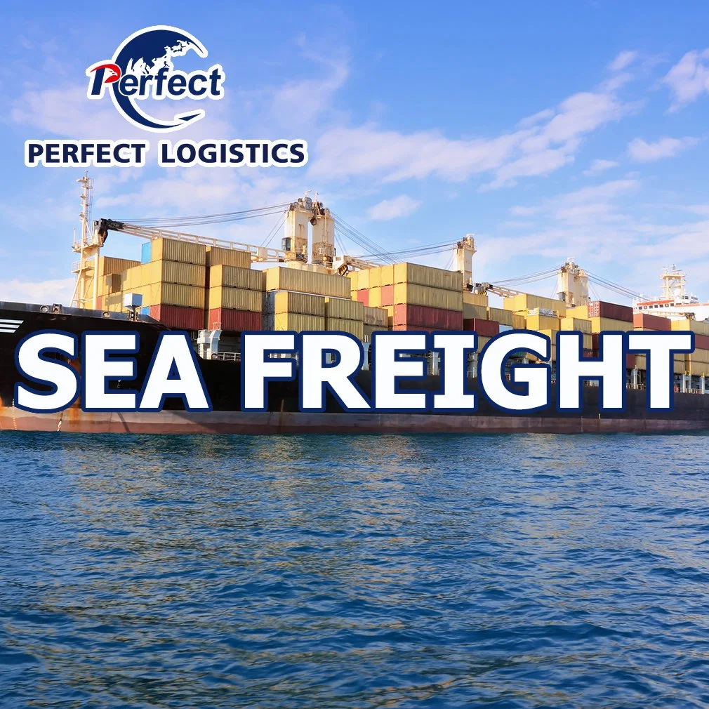 Seefracht Spediteur mit günstigen Container Shipping Rates von Shenzhen / Guangzhou / Yiwu China nach Belgien/Bulgarien Ocean Shipping