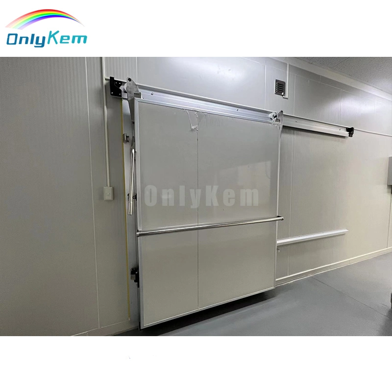 European Standard Cold Room Automatic Sliding Door for Walk in Freezer