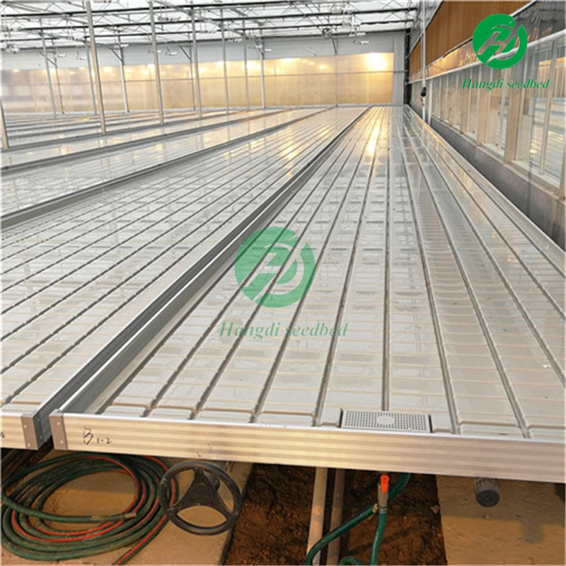 4X16 Agricultural Ebb and Flow Mobile Vertical Grow Racks Greenhouse Hydroponic System Double Stack Rolling Benches