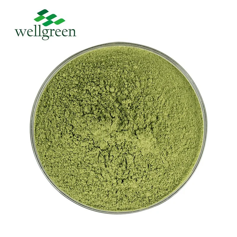 Free Sample Wellgreen Food Grade Herbal Extract 100% Natural Moringa Powder