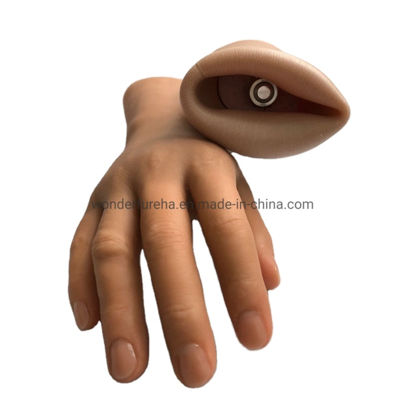 Prosthetic Limbs Artificial Hand Orthopedic Implants Artificial Prosthetic Silicone Hand