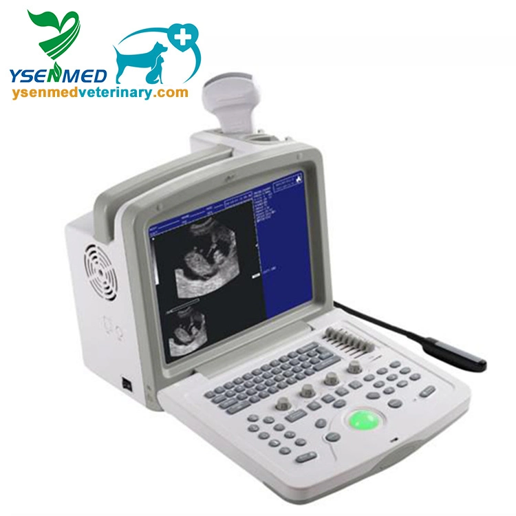 Ysb180V Medical Equipment Digital Portable Veterinary Ultrasound Scanner