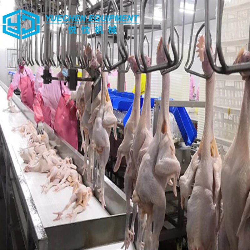 Arab Islamic Halal Poultry Slaughtering Process Line Plant Chicken Automatic Slaughterhouse Equipment