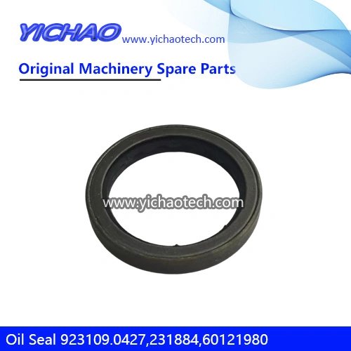 Genuine 923109.0427 Oil Seal 231884/60121980 for Kalmar Dcd200-300 Container Reach Stacker Parts