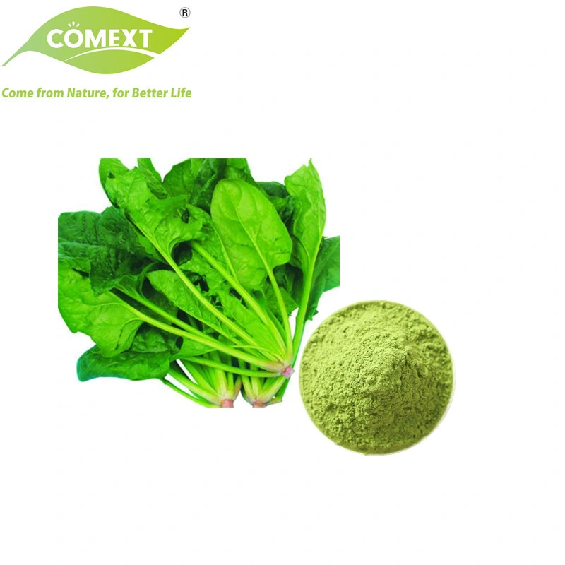 Comext Fabricant 100% naturel aliments et boissons extrait de légumes biologiques Poudre de jus poudre d'épinards séchée