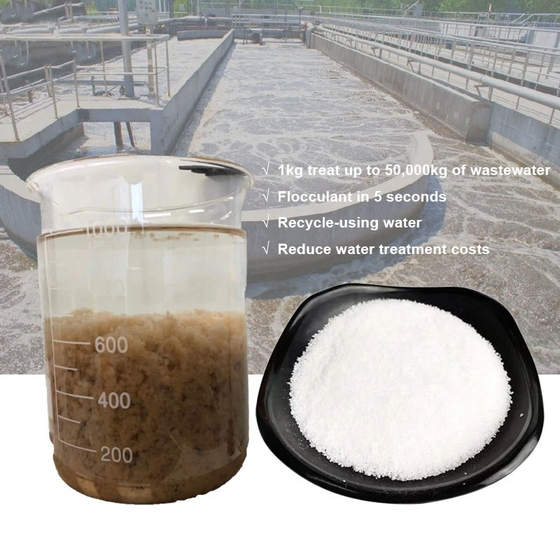 Industrial Grade Viscosifier Flocculant Polyacrylamide Chemicals Raw Materials PAM with White Powder