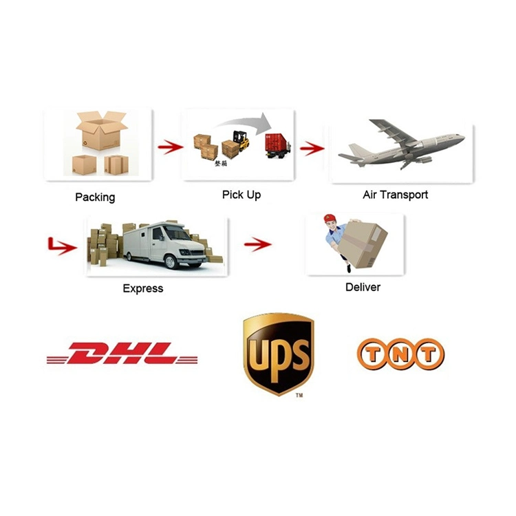 Us Warehouse Shopify Dropshipping Agent Shopify Dropship Supplier Dropshipping Products 2021