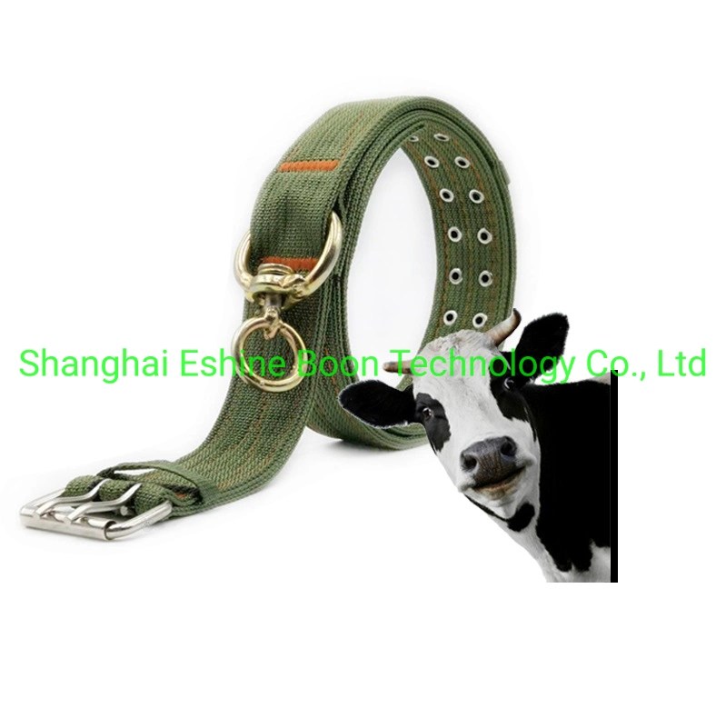 New Arrival Cattle Canvas Neck Strap Calf Belt with Tag Collar