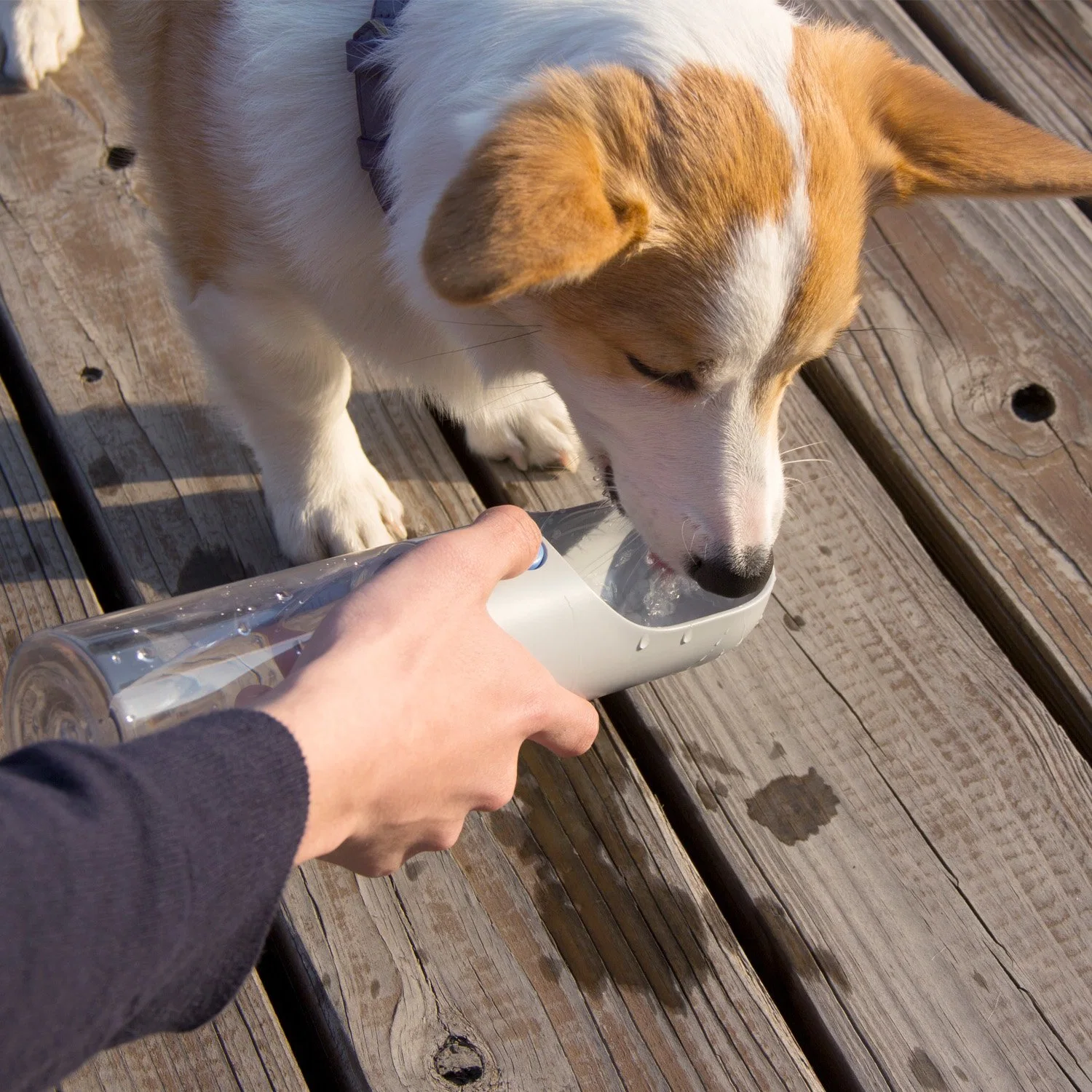 زجاجة مياه الحيوانات الأليفة الآلية مع شهادة إدارة الغذاء والدواء