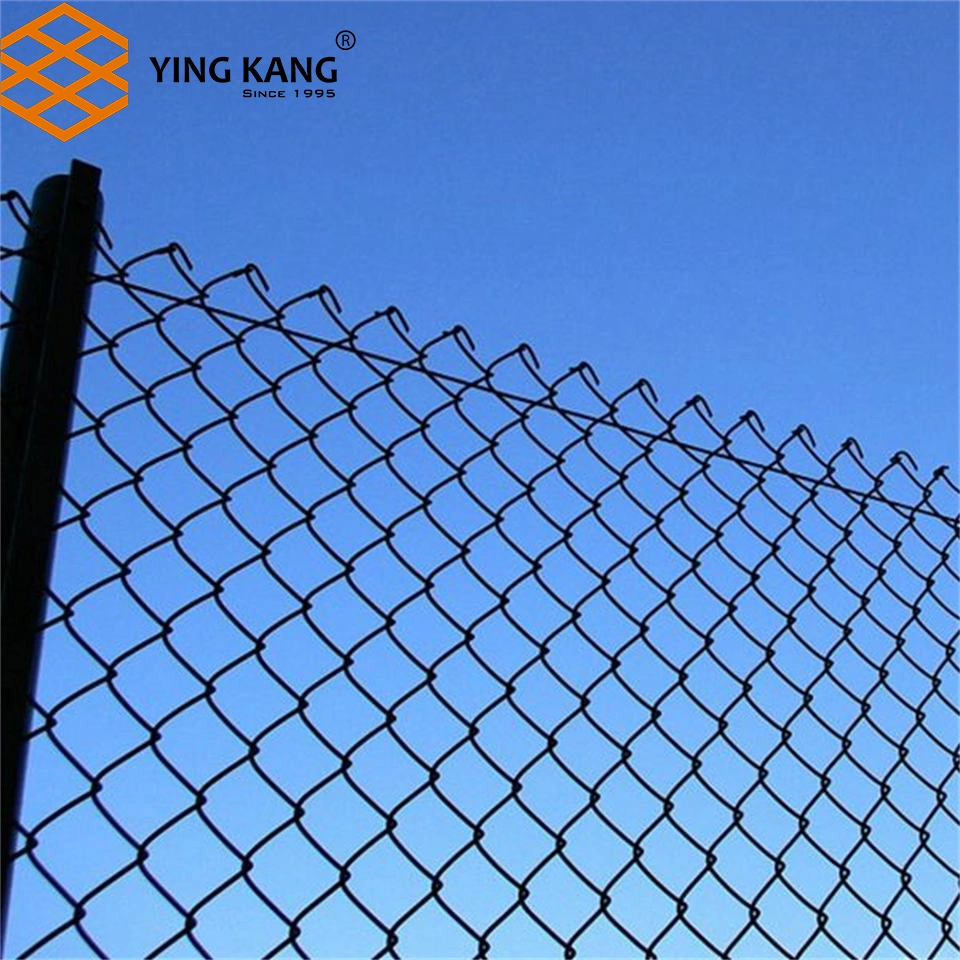 Factory Garden Fence Galvanized PVC Coated Chain Link Fence E Customized Size Steel Wire Mesh Stainless Steel Wire Mesh