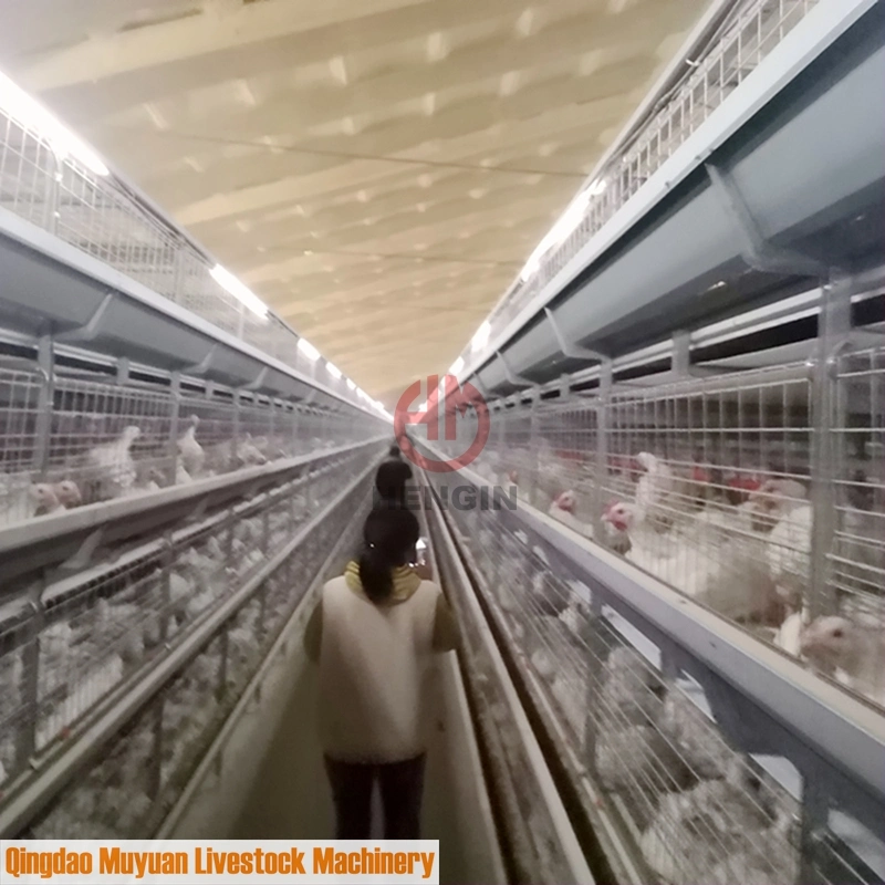 H-Frame Chicken Broiler Breeding Cage Bird Coop Poultry Farm Machinery