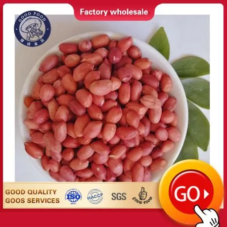 Ex-Factory Price Bulk Raw Organic Factory Price Red Skin Kernels Peanut