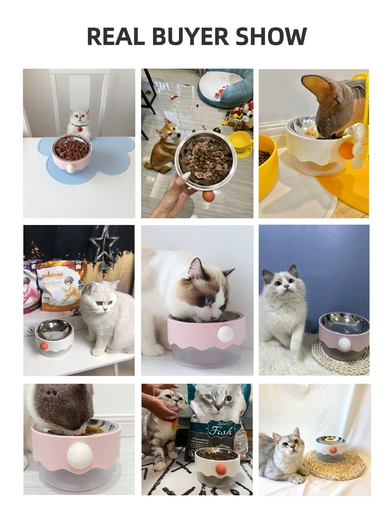 China Product Stainless Steel Double Layer Pet Bowl /Cat Bowl / Cute Dog Bowl for Drinking Feeding Pet Bowl