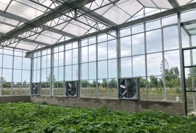 Venlo Type Polycarbonate Board PC Green House The Belt and Road Initiative/Cucumber/Lettuce/Pepper/Planting