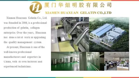 Hot Sell Edible Grade Gelatin Food Gelatin Professional Manufacturer