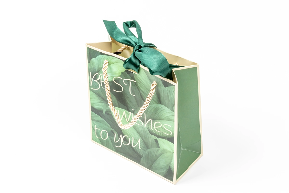 Eco-Friendly Gift Cardboard Paper Packaging Bag with Yuour Own Logo