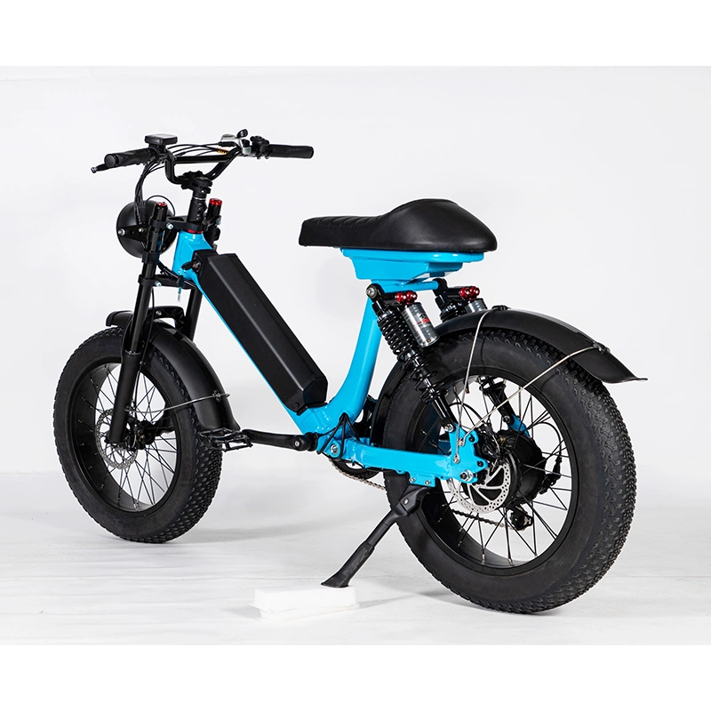 Certification CE Vélo électrique fertile rétro rétro de 500 W double roue de vélo de pneus de graisse