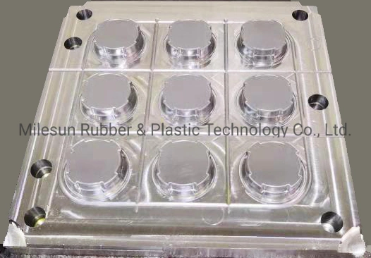 Milesun OEM ODM Plastic & Rubber Injection Mould Plastic Mould Injection Tooling Rubber Products