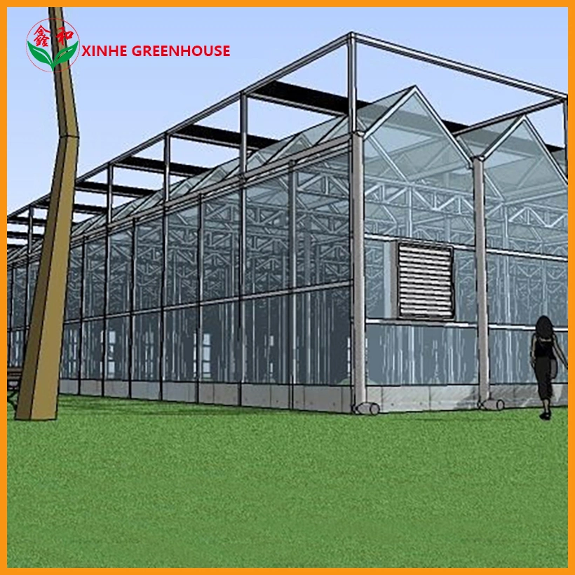 Agriculture Hydroponic Systems Equipment Multi-Span Glass Greenhouse for Flowers