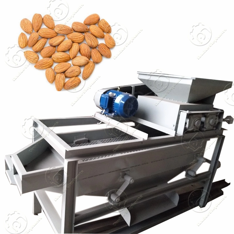 Apricot Palm Nut Peach Nut Almond Armeniaca Hazelnut Peeling Machine