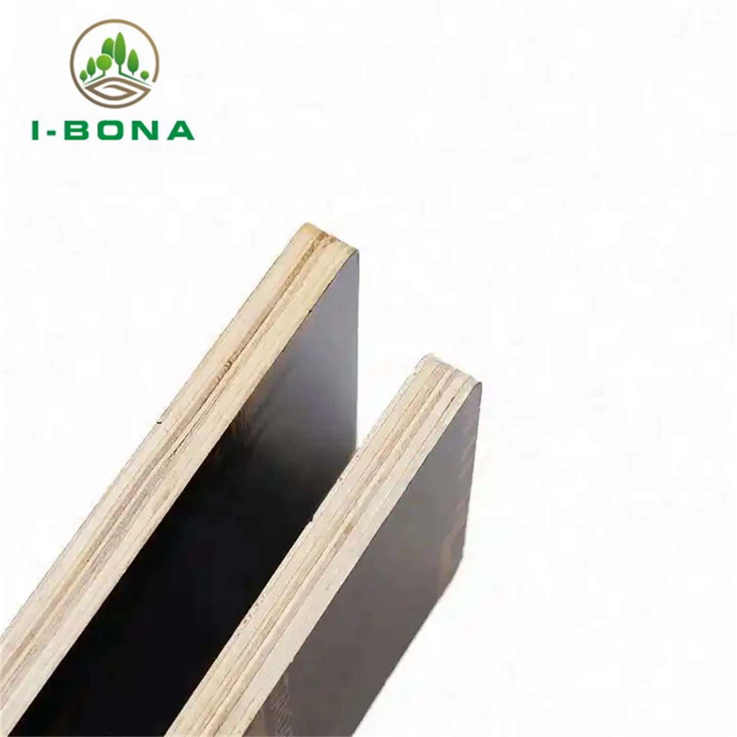 Birch Black Film Plywood Film Faced Plywood Shuttering Plywood