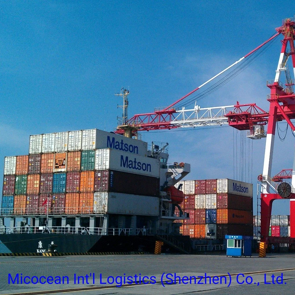 Transporte marítimo Internacional Logística de Shenzhen Transporte Forwarder de China A Yemen
