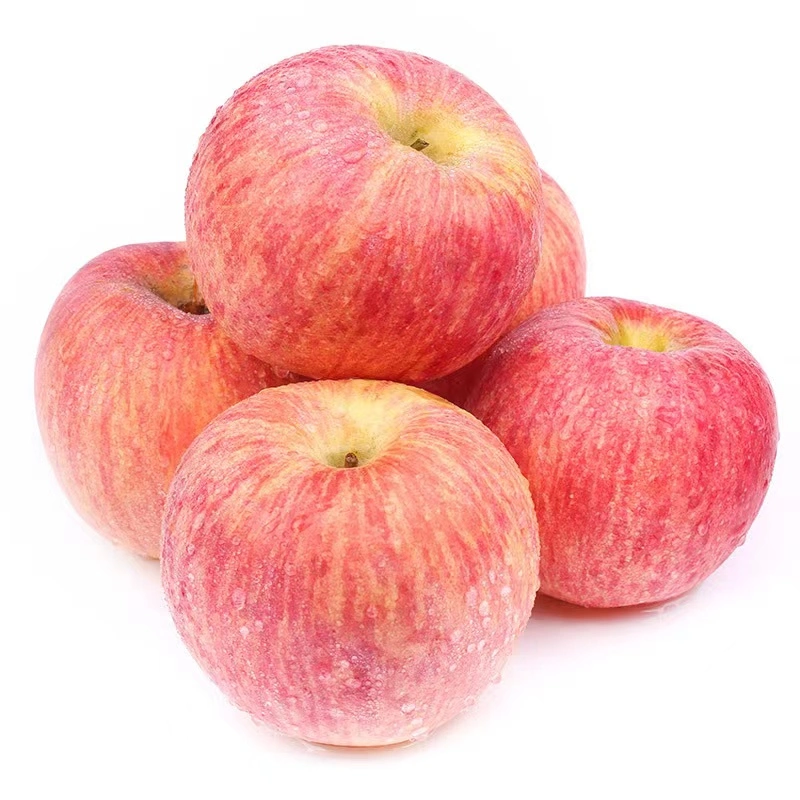 Fresh Full Red FUJI Apple Fresh Food New Corp Fruit Sale