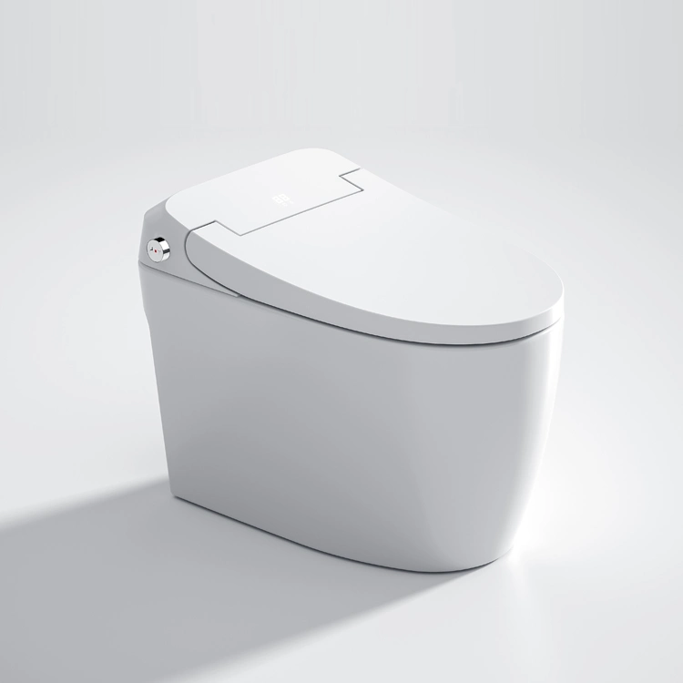 Standard Size One Piece Home Usagetoilet