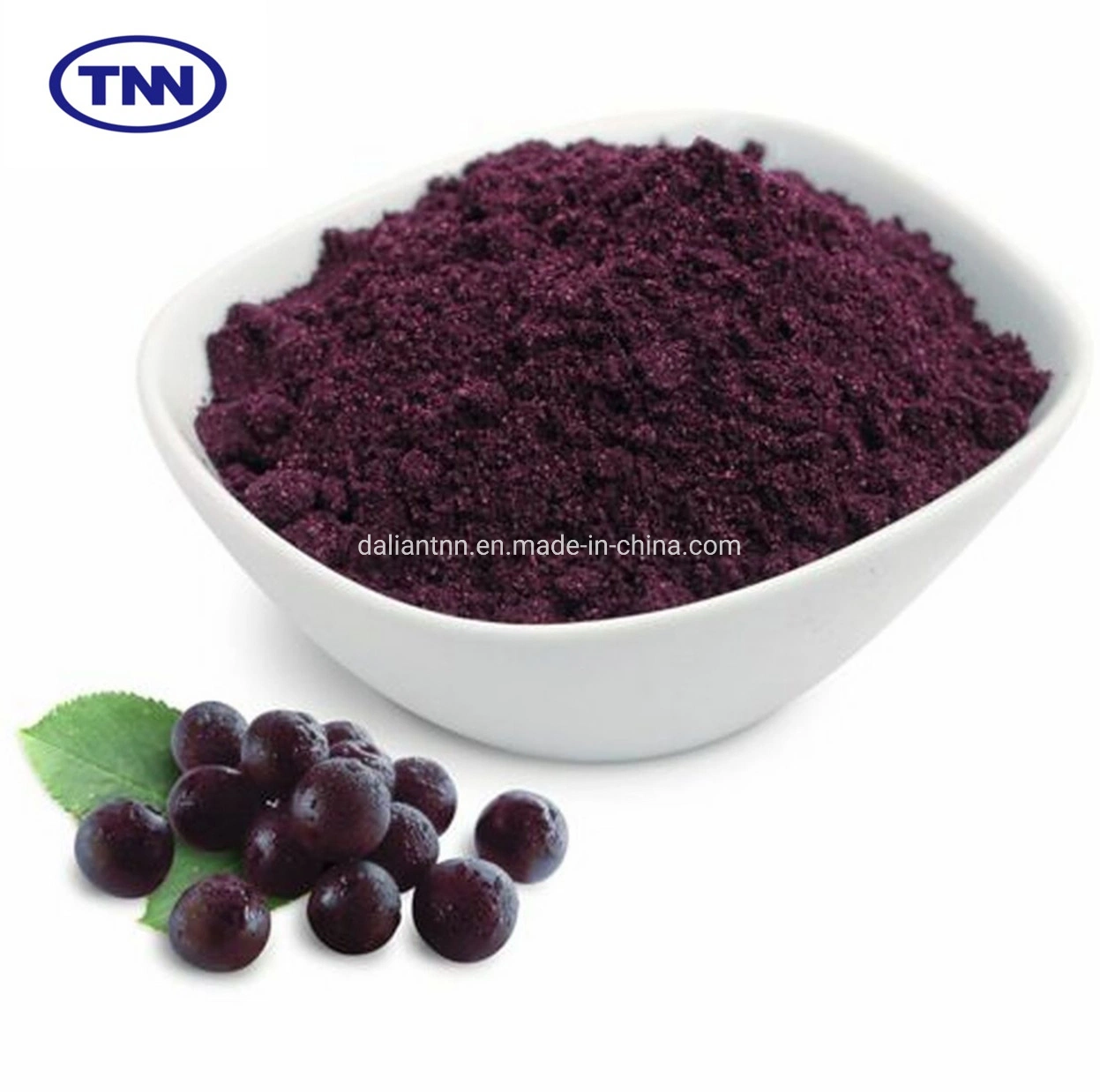 Factory Wholesale/Supplier Procyanidins Anthocyanidin Black Elderberry Powder