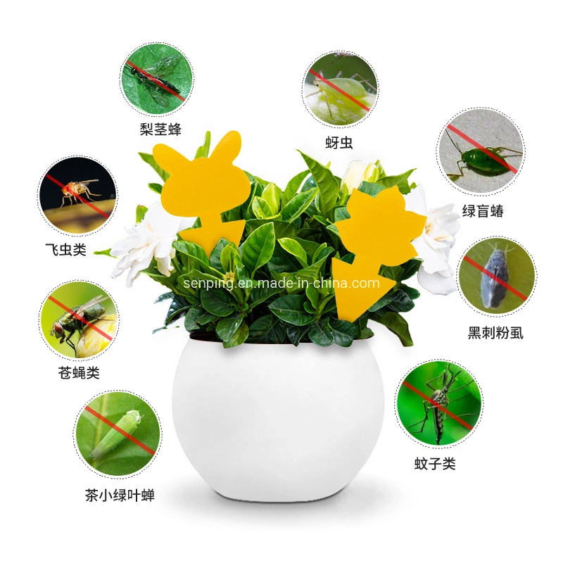 Flying Insect Trap Amazon Hot Sell Fly Mosquito Insect Catcher Fruit Fly Gnat Trap Yellow Sticky Traps