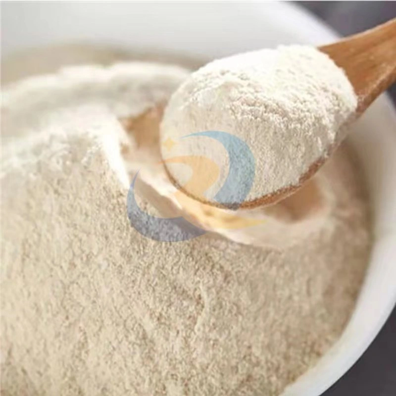 Supply Best Quality Whey Protein Powder for Sports Supplements