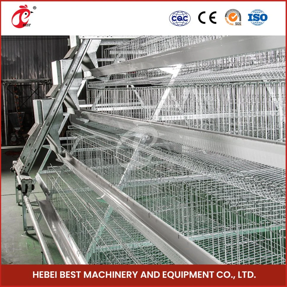 Bestchickencage a Type Layer Cage China Hot Sale Chicken Trap Layer Cage Supplier Custom Save Space and Food Automatic Layer Coop Configuration Chicken Coop Kit