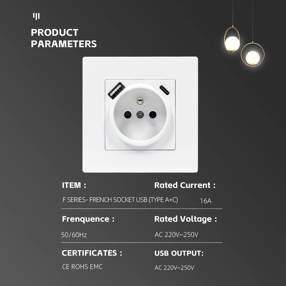 Европанельный французский настенный разъем с USB типа A+C.