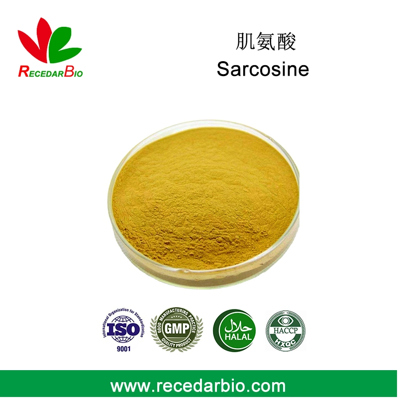 99% High Quality Sarcosine Powder with CAS 107-97-1