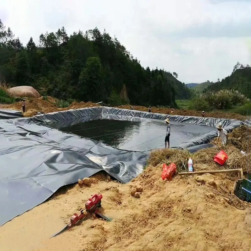 Smooth White Black Green Blue HDPE Geomembrane for Agriculture Pond Liner in Sri-Lanka