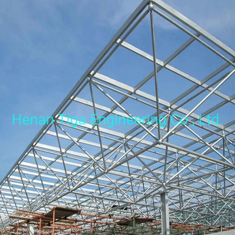 Professional Design Steel Structure Construction Workshop Warehouse Building Steel Structure