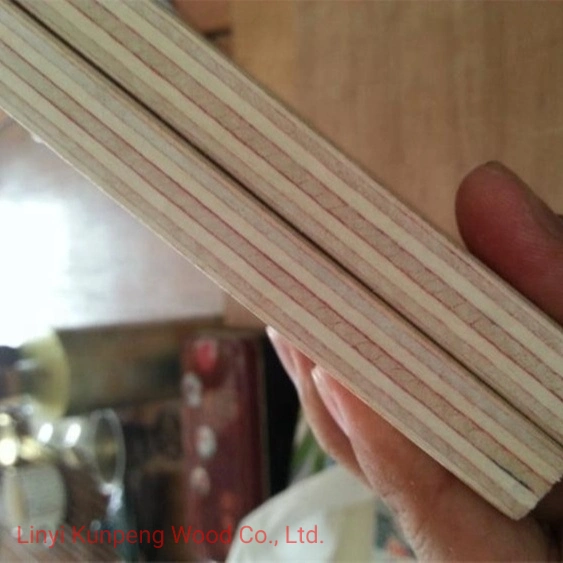 C/D Grade Birch Plywood with Poplar Core for Furniture