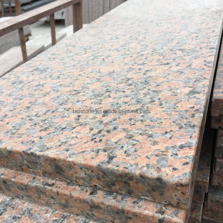 Chino Arce Red Leaf Granite G562 Corte a tamaño azulejos Bandas de peldaños