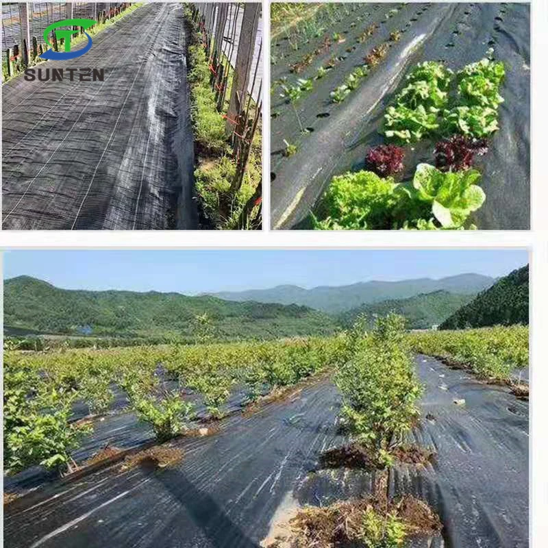 Preto/Verde/Branco 50% Virgem de PP/PE/Plástico Tecidos de controle de plantas daninhas produtos/Fabric para Agricultura/Jardim/paisagem