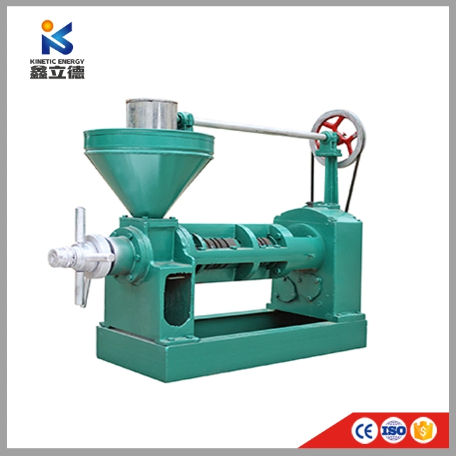 Small Capacity Prickly Pear Seed Avocado Oil Extraction Machine