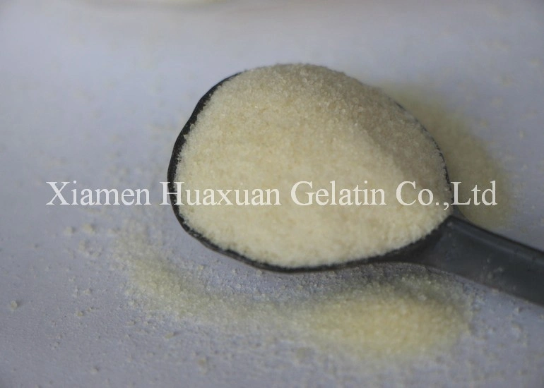 Halal Edible Gelatin Powder Ingredients for Cakes