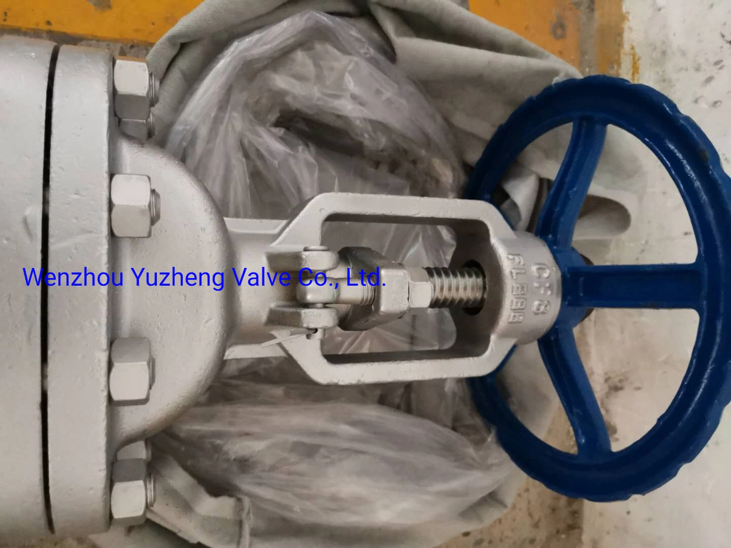 SS304 Stainless Steel Blow-Down Gate Valve for Industrial Use