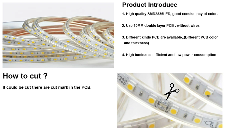 Wholesale/Supplier Outdoor 5m 12V 24V Smart Flexible 2835 5050 Waterproof RGBW RGB LED Light Strips