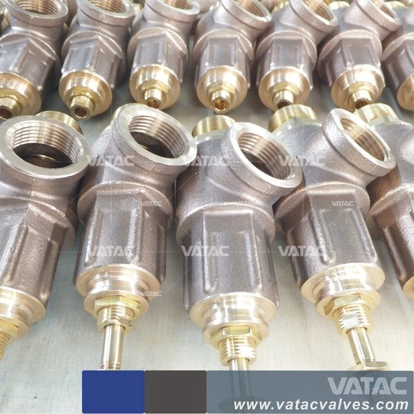 Bronze Thread/Screw Fnpt/Mnpt Spring Loaded Safety Valve