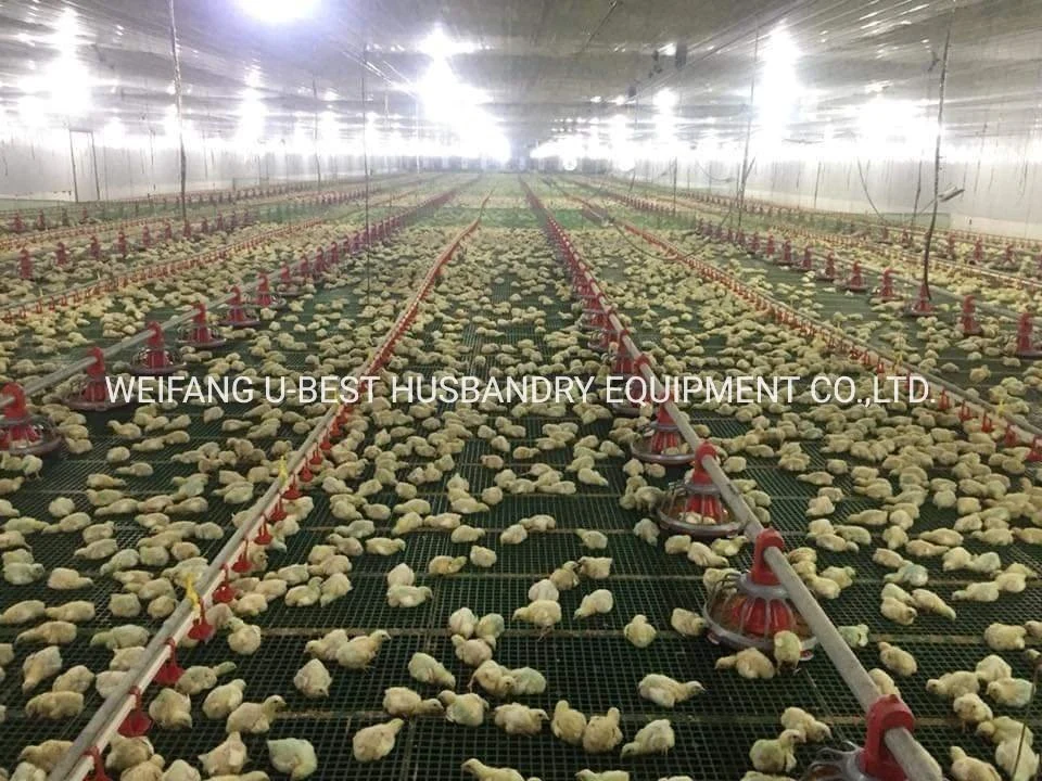 New Design Automatic Plastic Chicken Feeder Feeding System Poultry Feed Production Line for Broiler House