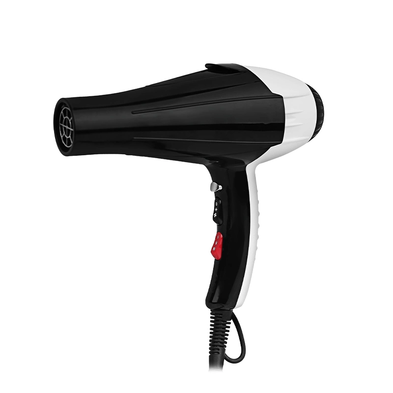 2023 Professional New style Fashion Electric Family and Barber Use Sèche-cheveux puissant