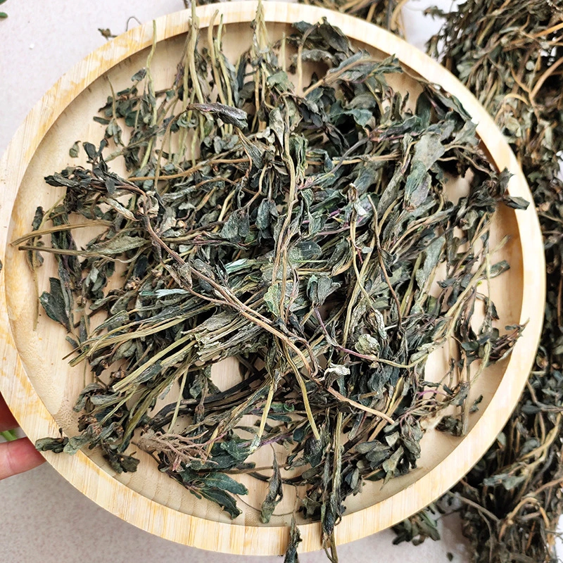 Ma Chi Xian Herbal Tea Portulaca oleracea Vente à chaud sec Parslane aux herbes