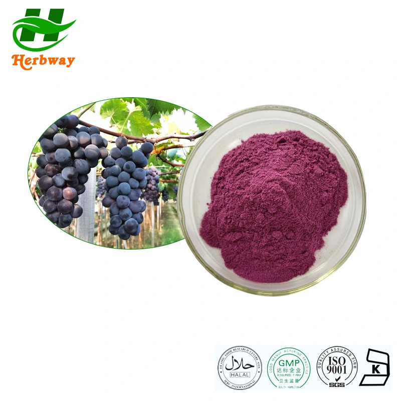 Herbway Kosher Halal Fssc HACCP Certified Vitis Vinifera L Polyphenols Grape Peel Extract