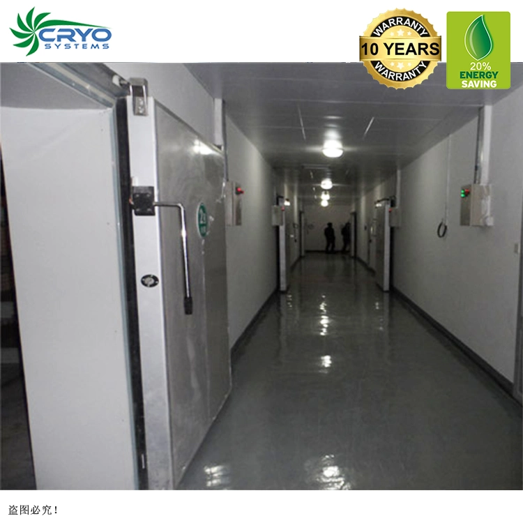 Low Temperature Hotel Frozen Drink Fruit Juice Flower Walk in Cooler Panels Potato Storage Refrigerator Blast Freezers