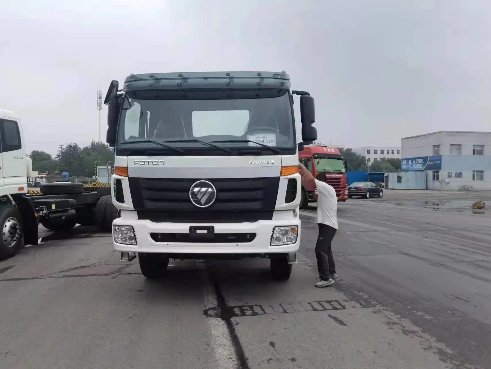 Transporte de automóveis Tianjin Porto RO-RO para Alexandria Porto Egípcio, Transporte de carga Grande despachante de cargas da China